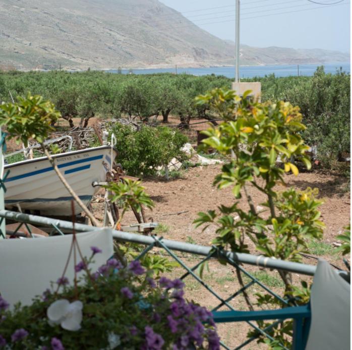 קיסאמוס Villa Sotiris מראה חיצוני תמונה