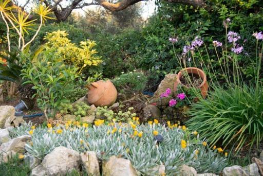 קיסאמוס Villa Sotiris מראה חיצוני תמונה